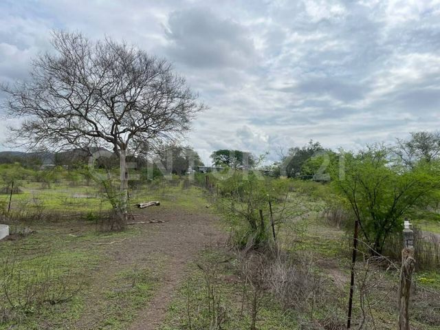 place photo 22