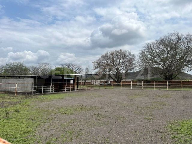 place photo 19