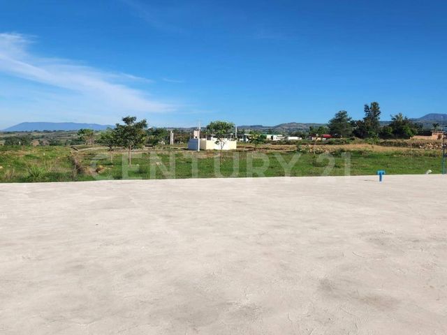 place photo 17