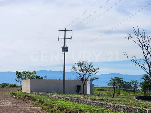 place photo 24