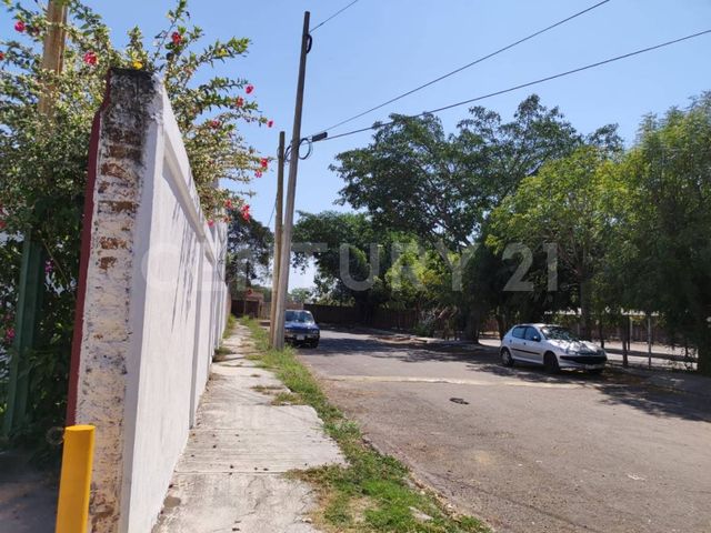 place photo 9
