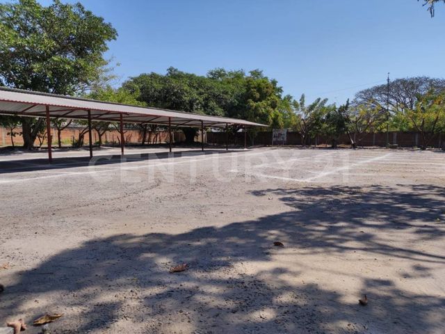 place photo 7