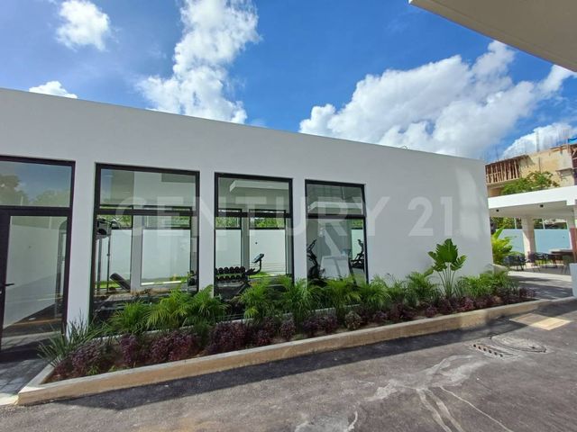 place photo 23