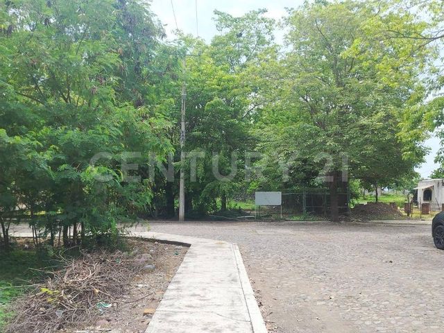 place photo 10