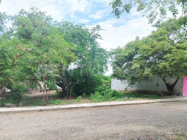 place photo 9