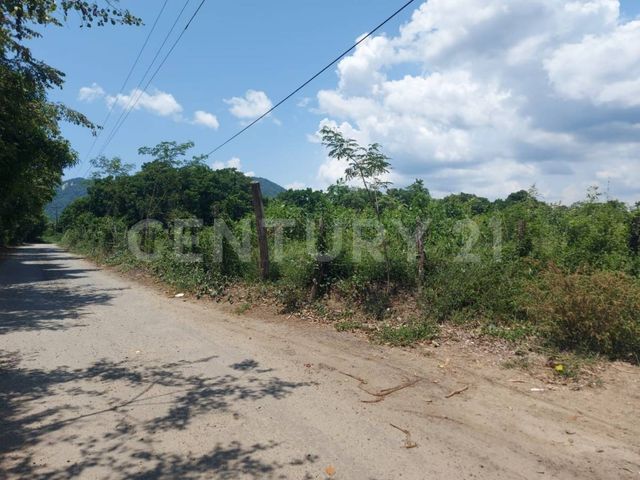 place photo 10