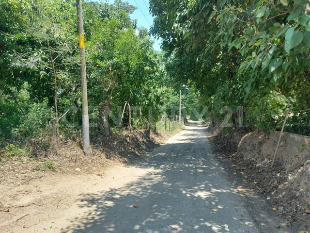 place photo 11