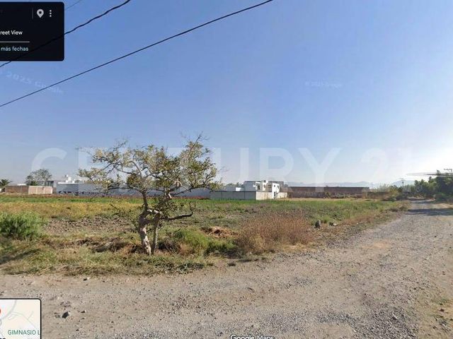place photo 7