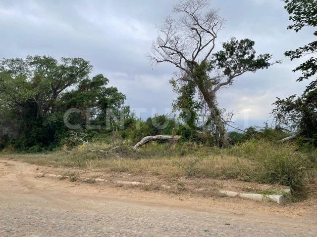 place photo 15