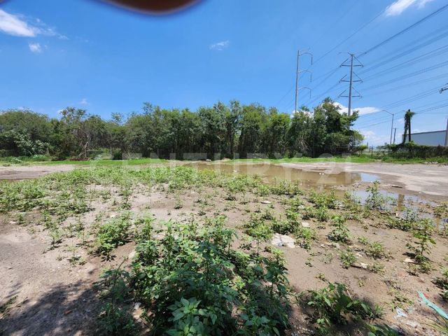 place photo 21