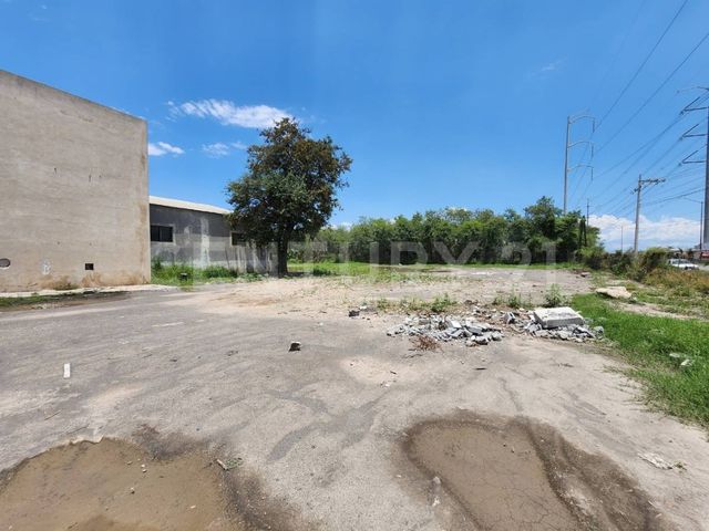 place photo 22