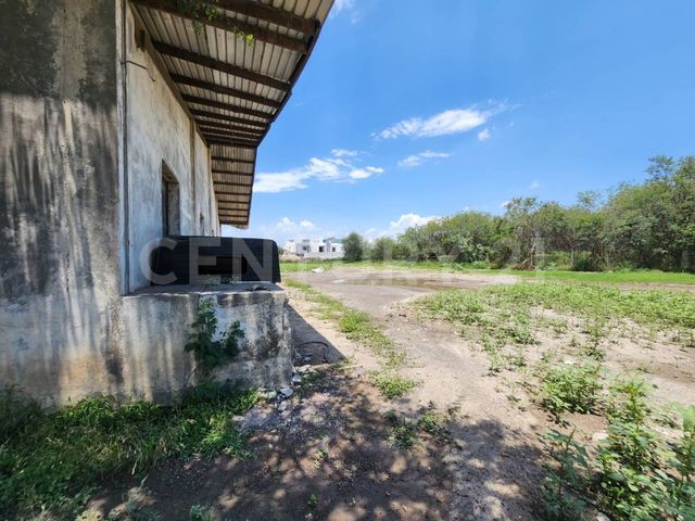 place photo 23