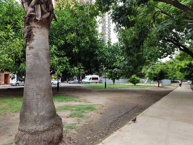 place photo 31