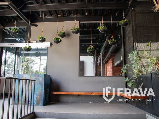 place photo 36