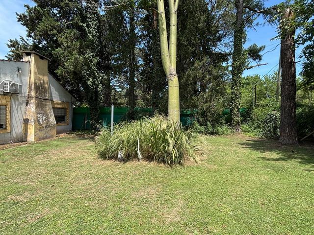 place photo 24