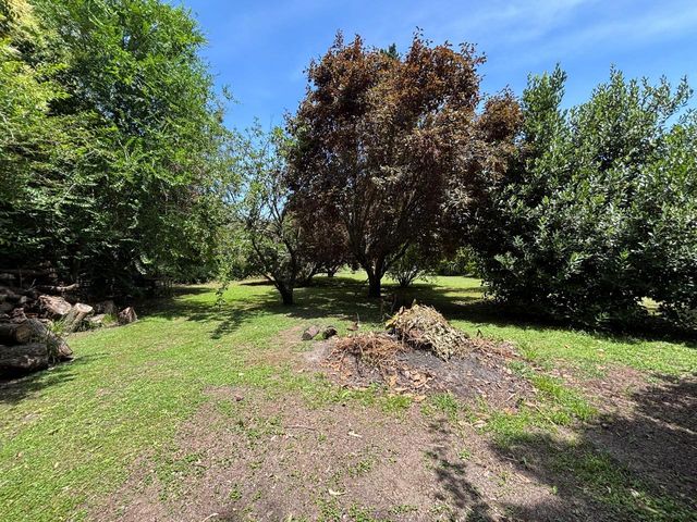 place photo 41