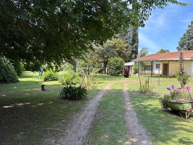 place photo 26