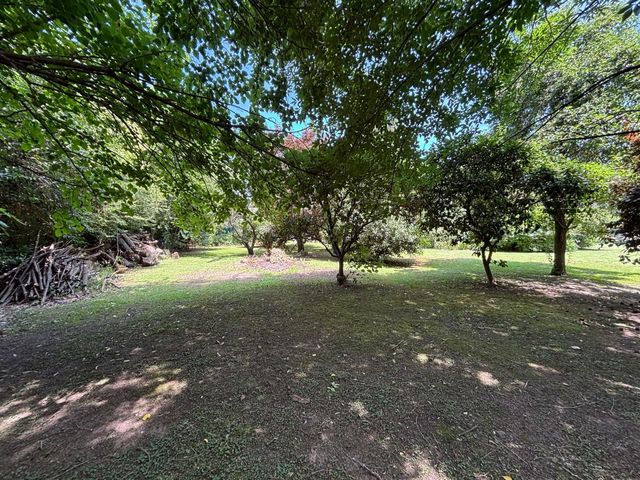 place photo 37