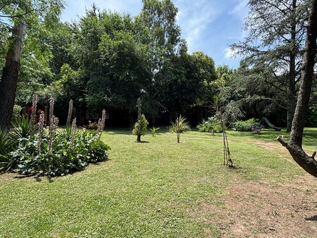place photo 39