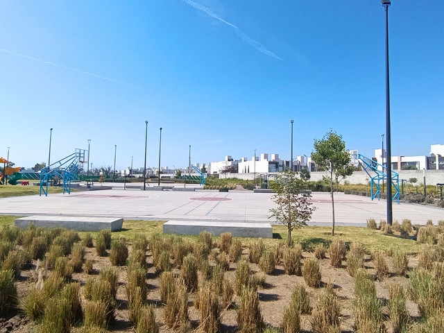 place photo 32