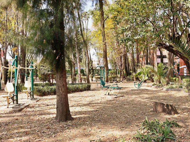 place photo 14