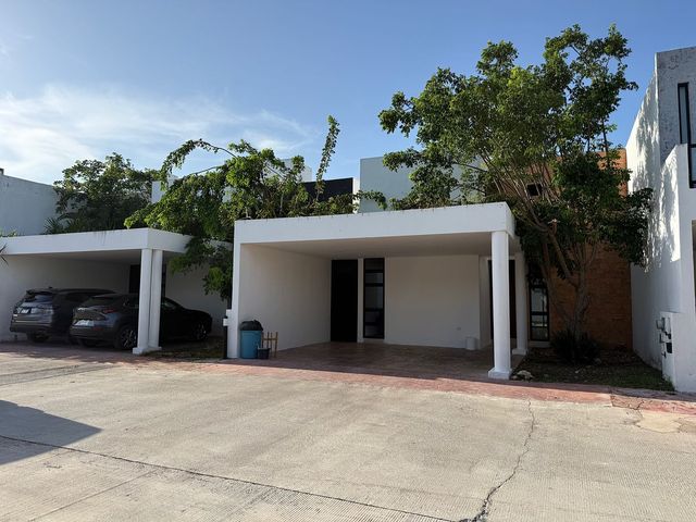 place photo 31