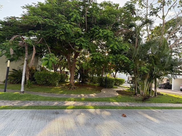 place photo 38