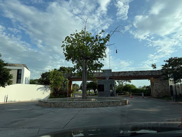 place photo 37