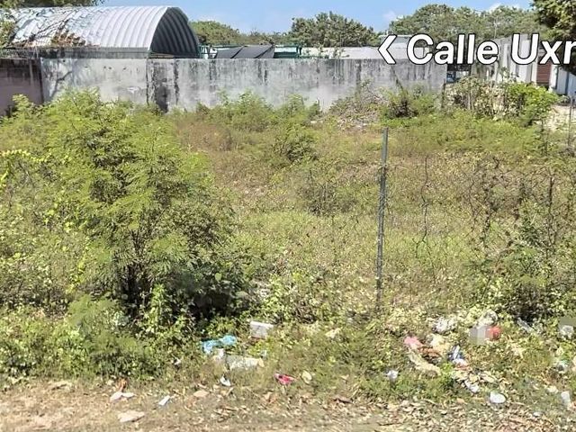 place photo 2