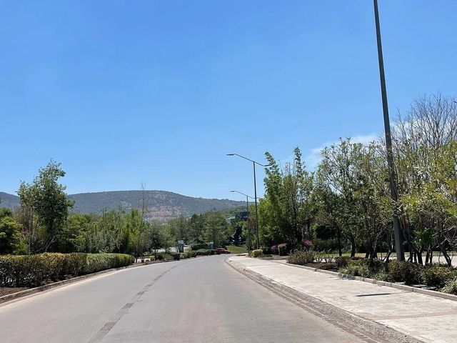 place photo 21
