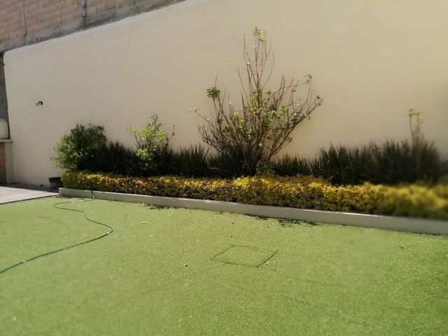 place photo 49