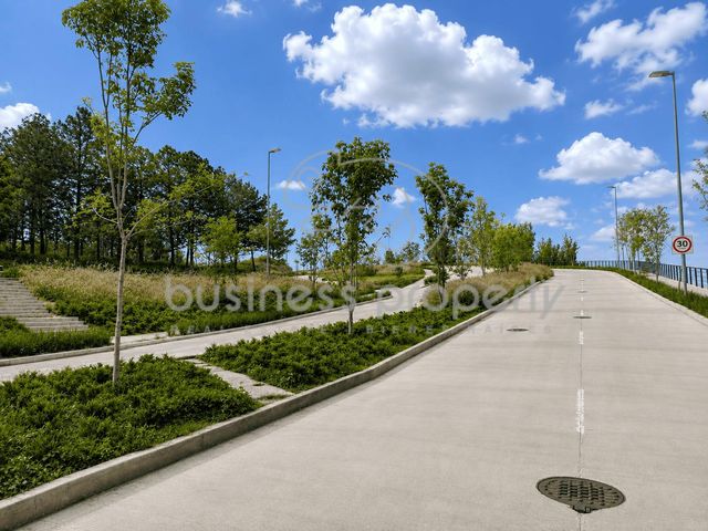 place photo 23