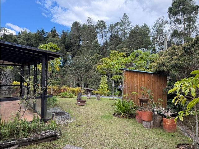 place photo 45