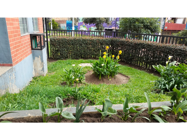 place photo 28