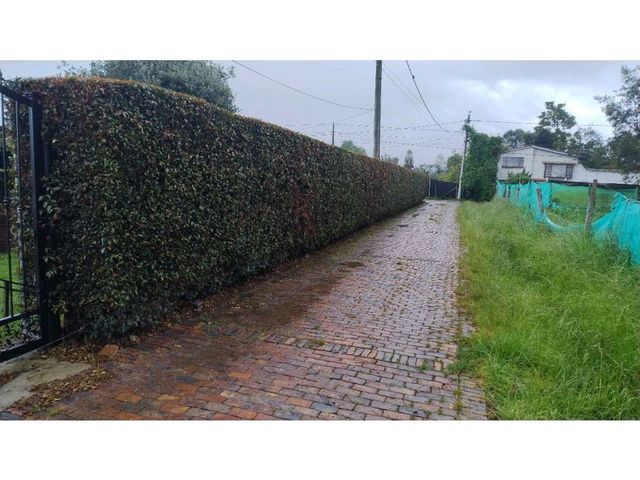 place photo 44