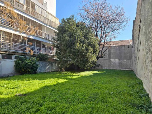 place photo 26