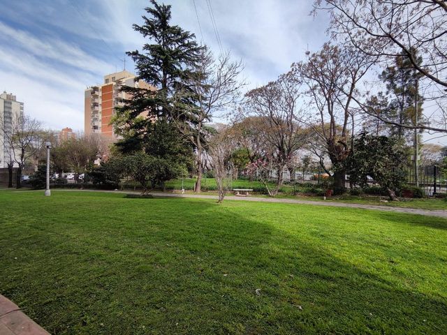 place photo 39