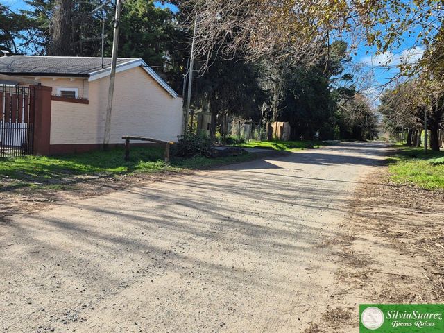 place photo 34
