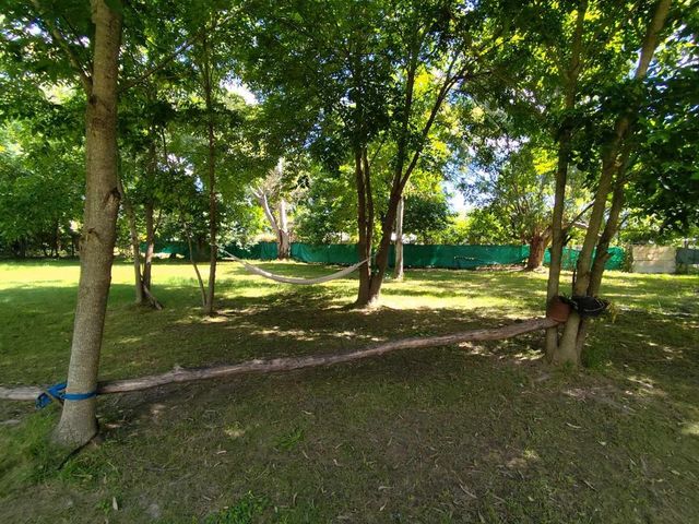place photo 31