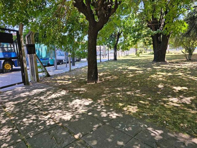 place photo 6