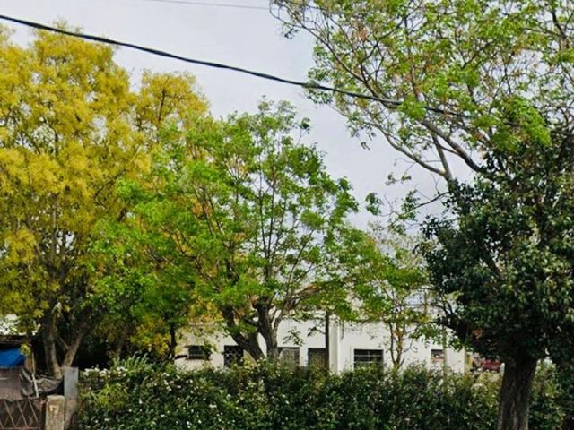 place photo 17