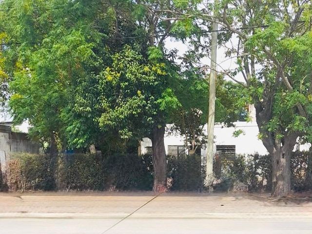 place photo 18