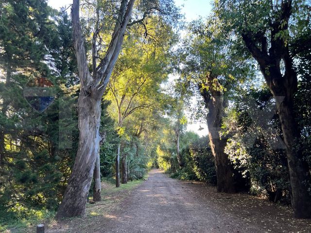 place photo 30