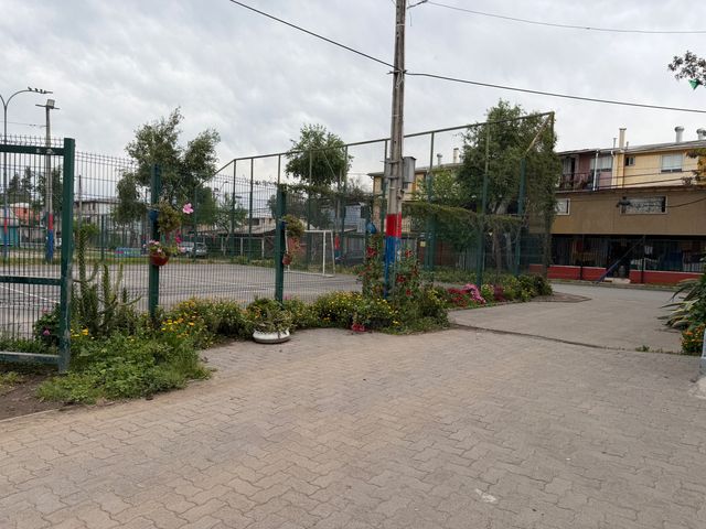 place photo 14