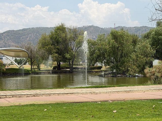 place photo 26