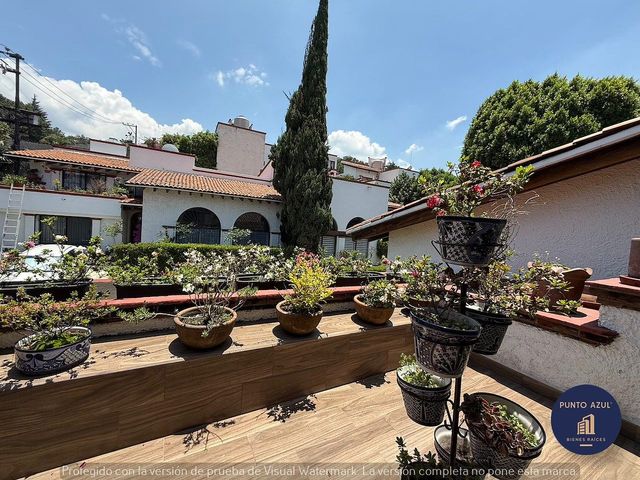 place photo 43