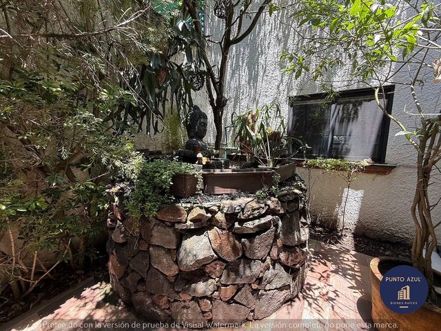 place photo 44
