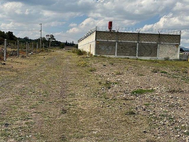 place photo 16