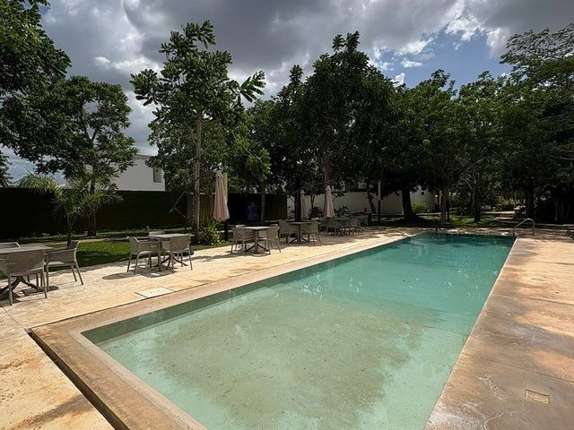 place photo 23