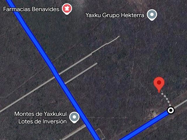 place photo 4